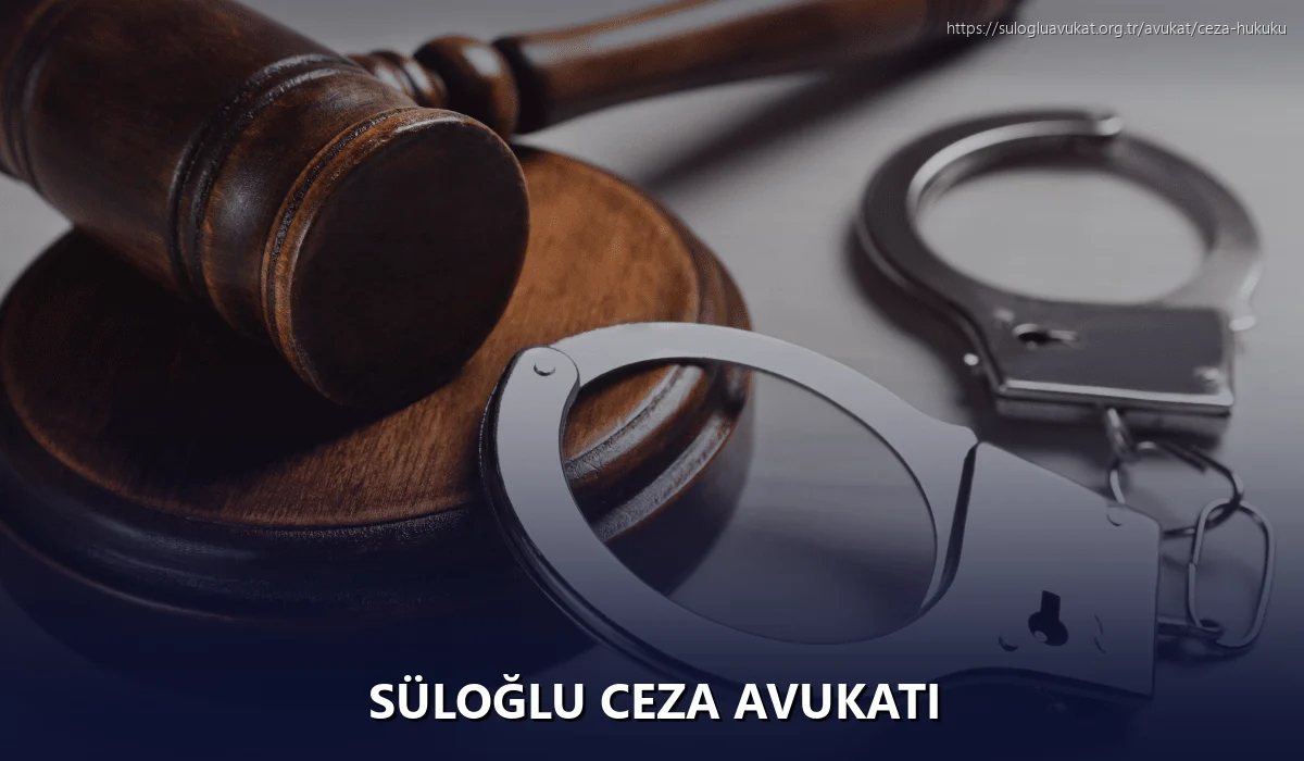 Süloğlu Ceza Avukatı